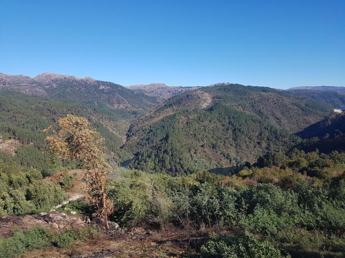Quinta Da Resteva-Chale Do Rio Vieira do Minho Exteriör bild